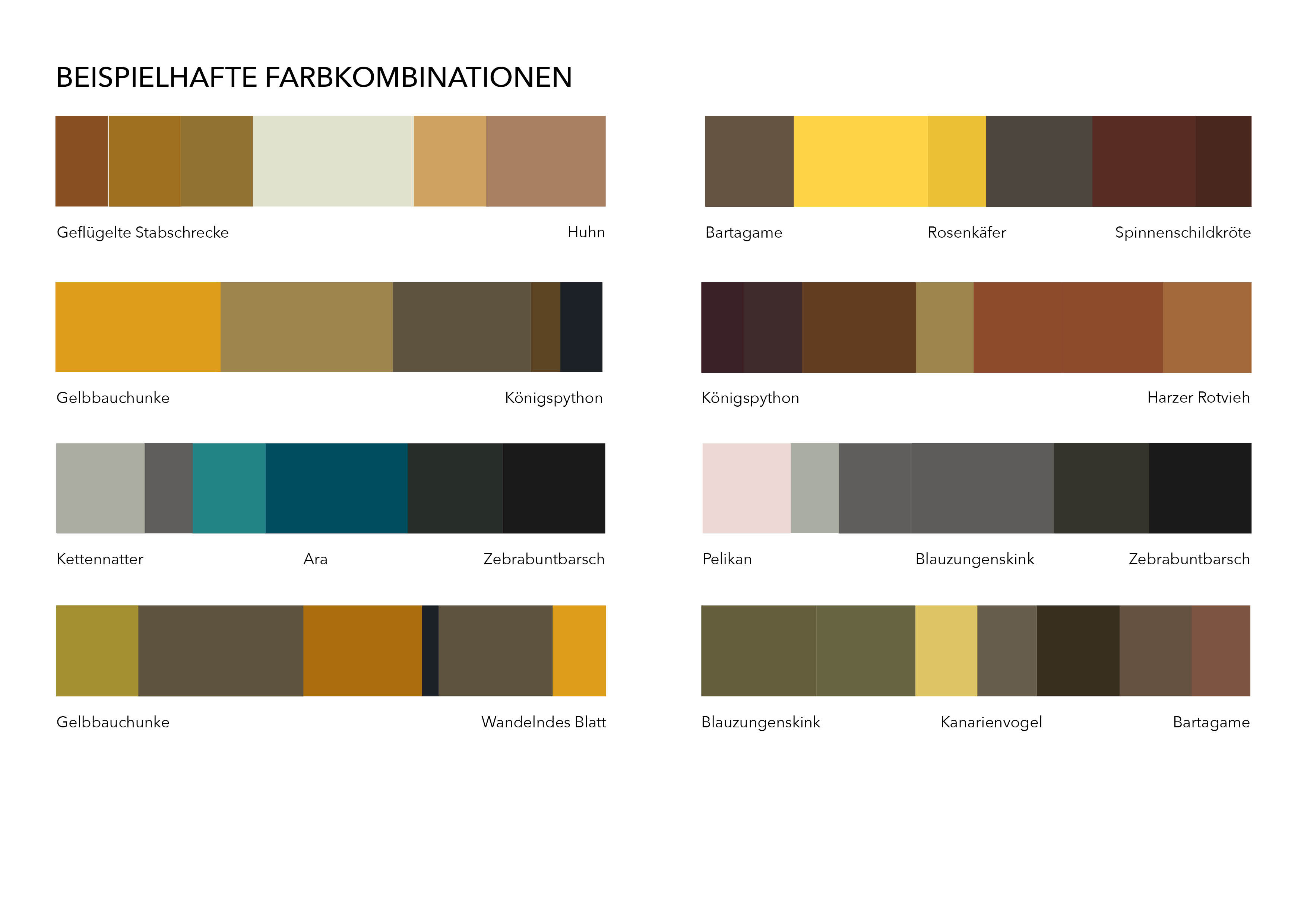 Animal color palette